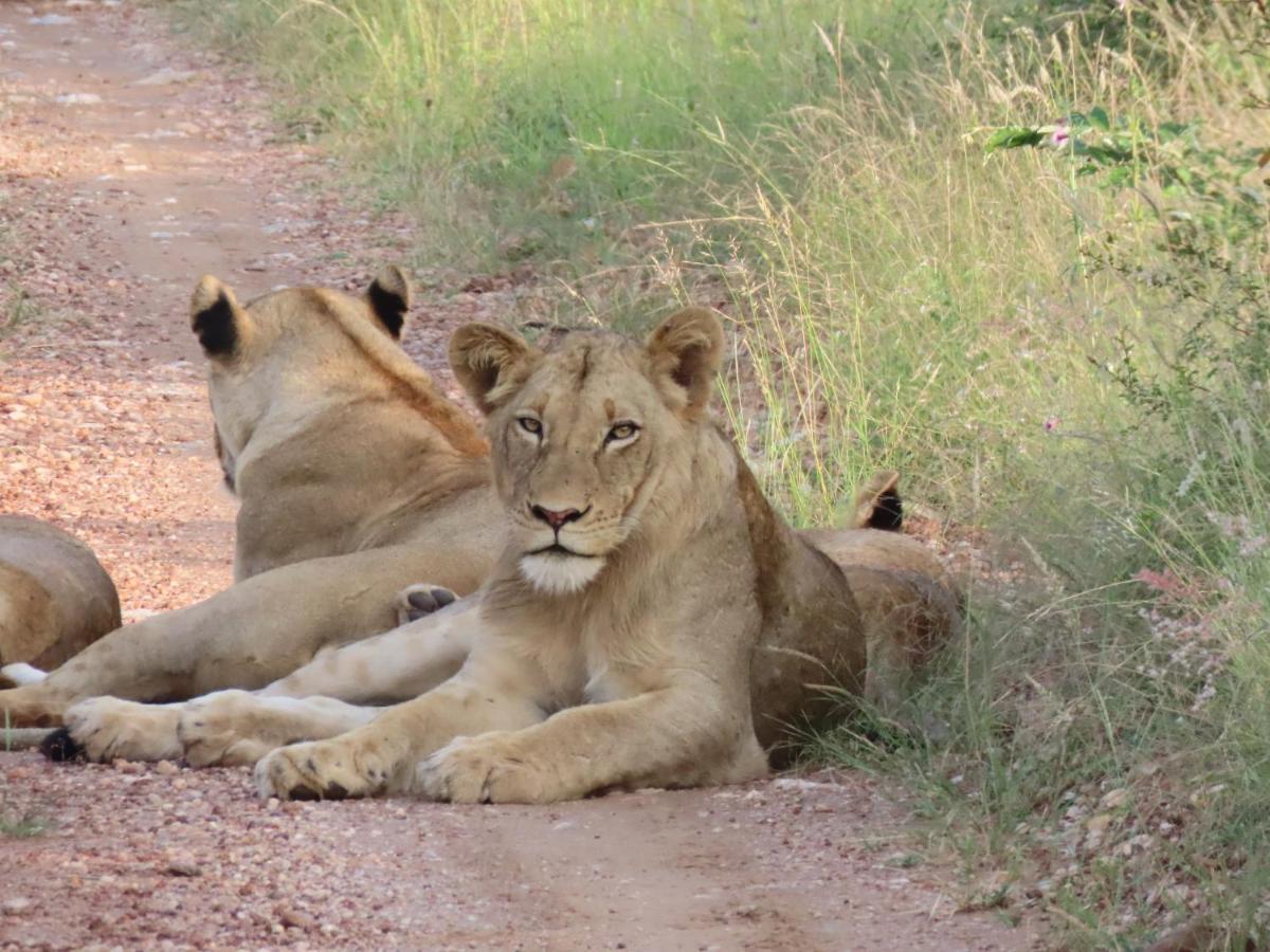 Muweti Bush Lodge Grietjie Game Reserve Exteriér fotografie