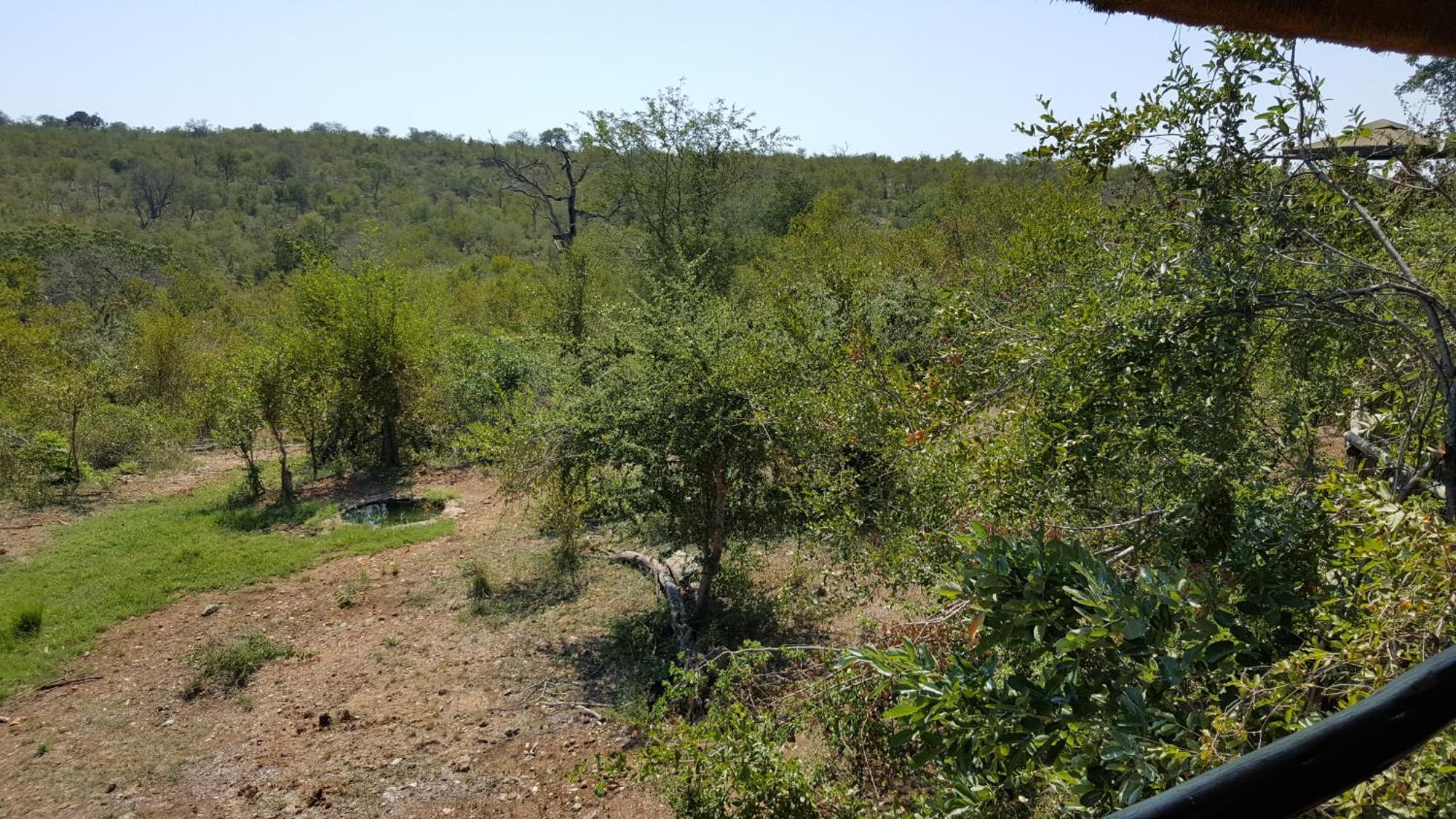 Muweti Bush Lodge Grietjie Game Reserve Pokoj fotografie